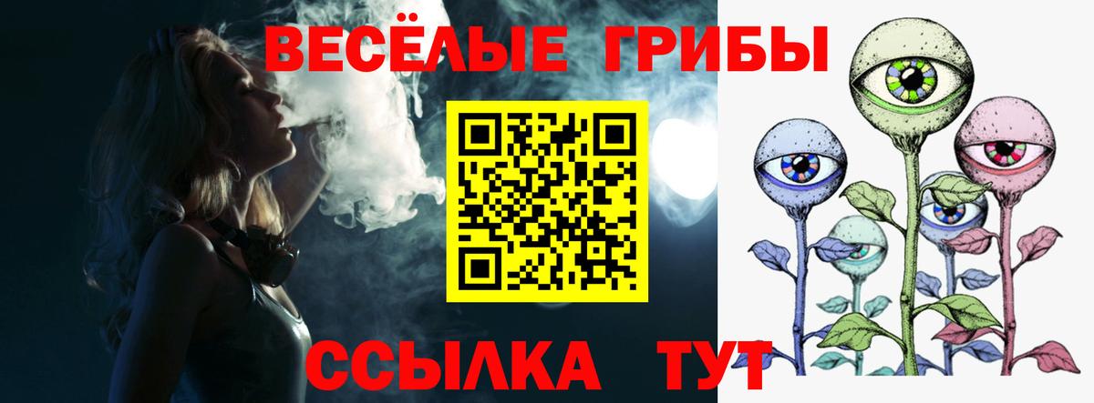 Галлюциногенные грибы Cubensis Тюмень